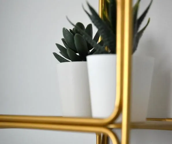 Cosy A 5mn Du Futuroscope 若奈克兰