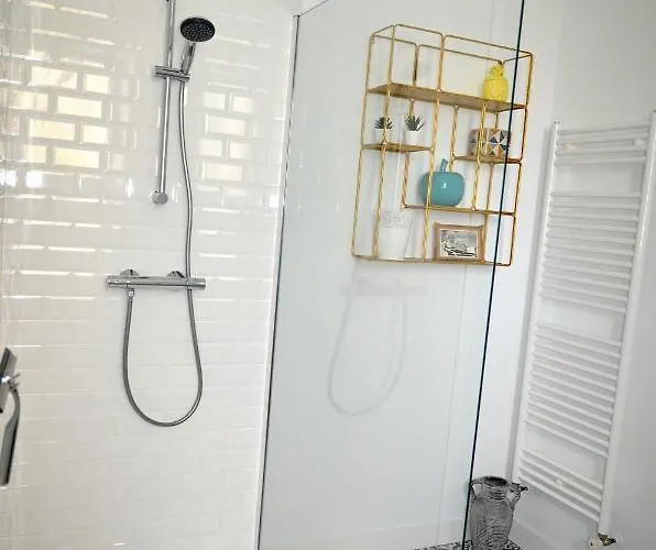 公寓 Cosy A 5mn Du Futuroscope 若奈克兰